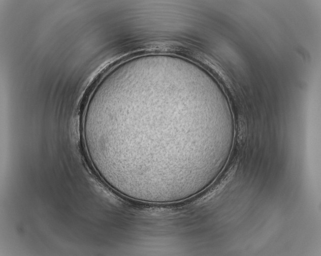 X0000112981075200909171334