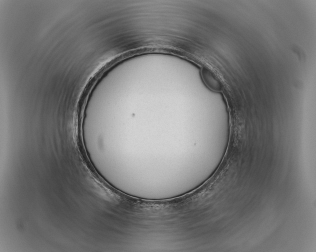 X0000112981076200909171334