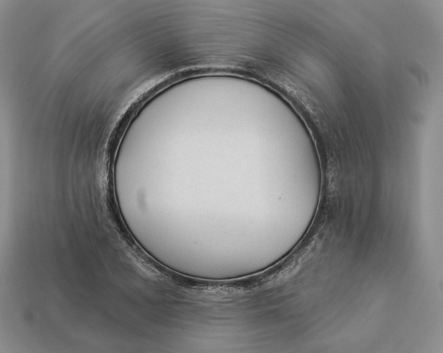 X0000112981077200909171334