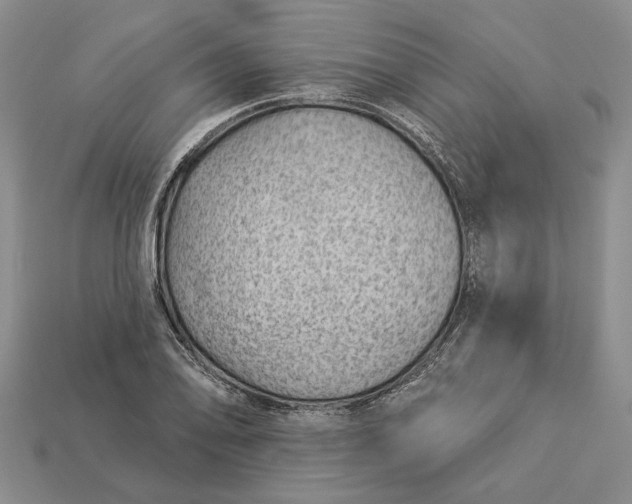 X0000112981078200909171334