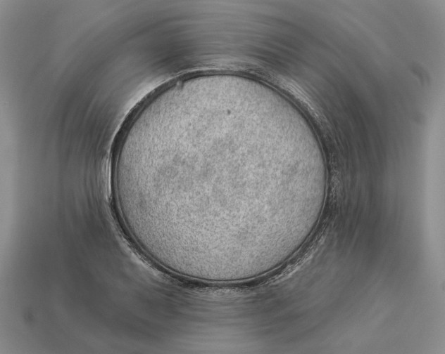 X0000112981079200909171334