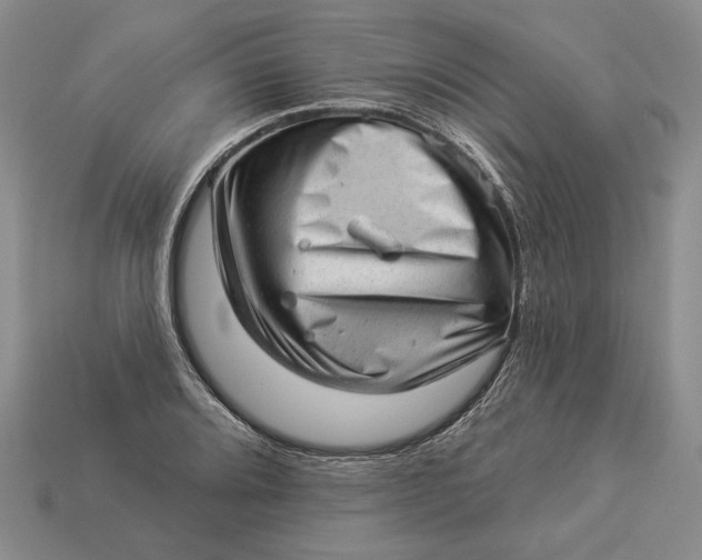 X0000112981080200909171334