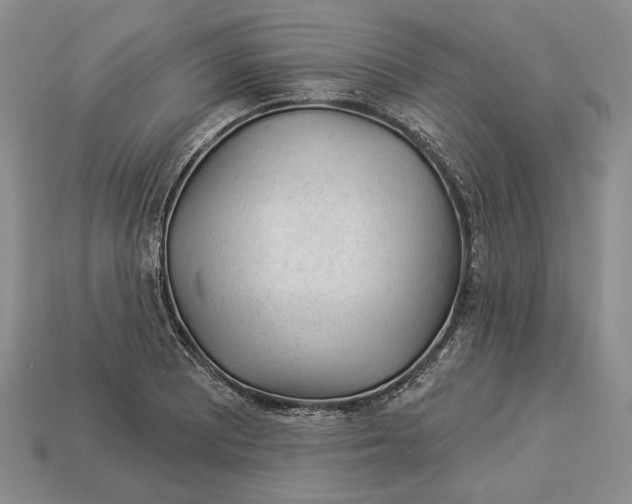 X0000112981081200909171334