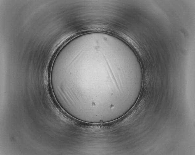 X0000112981082200909171333