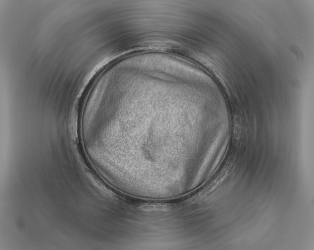 X0000112981083200909171333