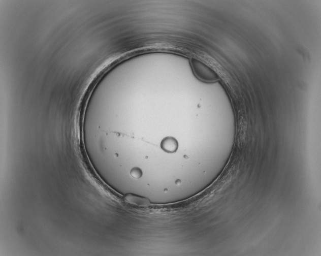 X0000112981084200909171333