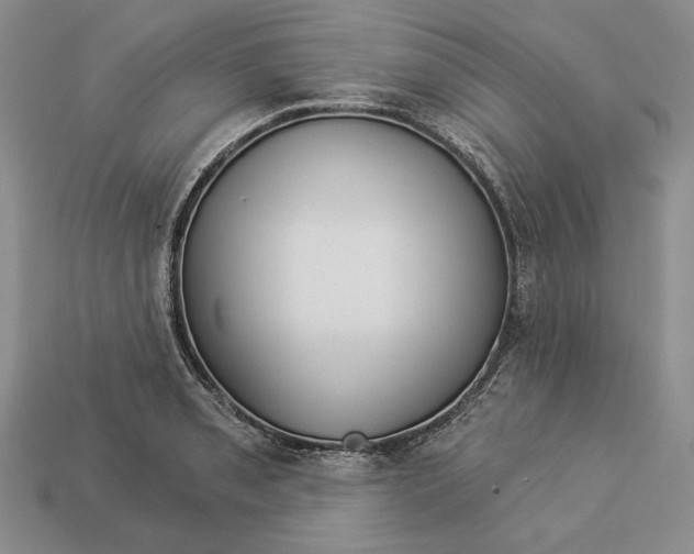 X0000112981085200909171333