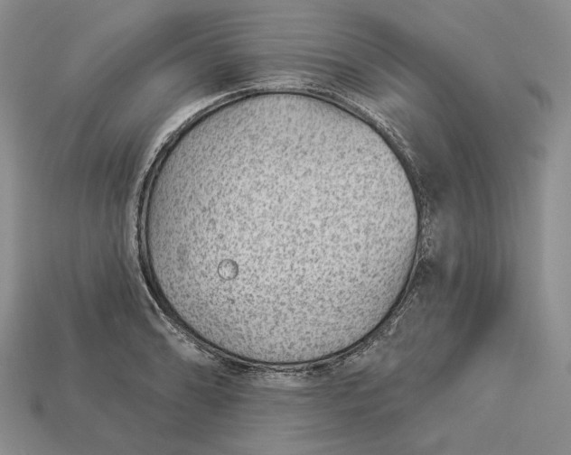 X0000112981086200909171333