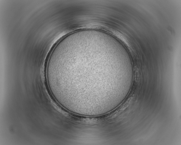 X0000112981087200909171333