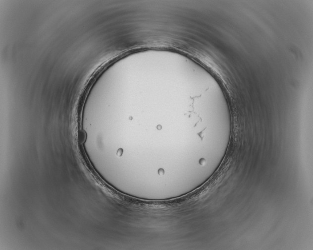 X0000112981088200909171333