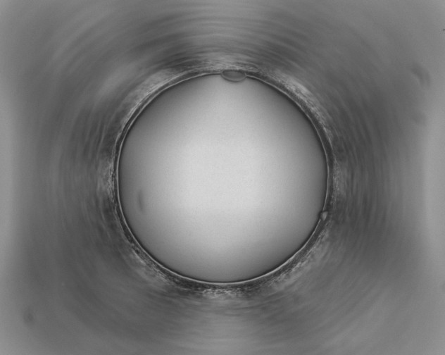 X0000112981089200909171333