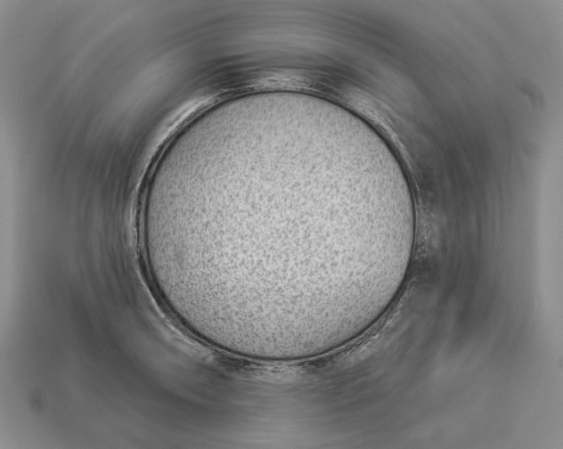 X0000112981090200909171333