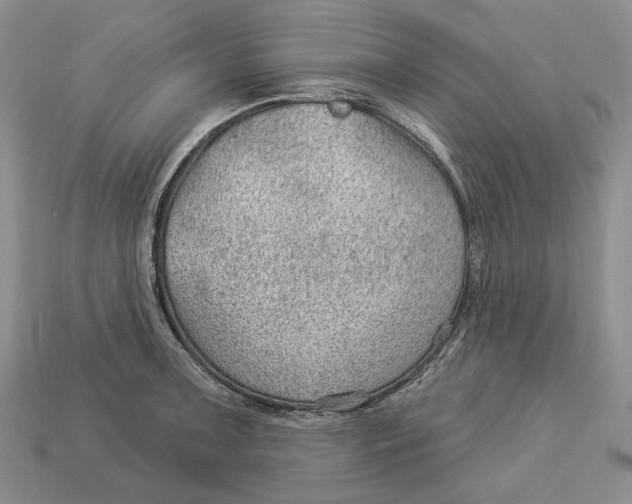 X0000112981091200909171333