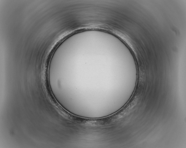 X0000112981093200909171333