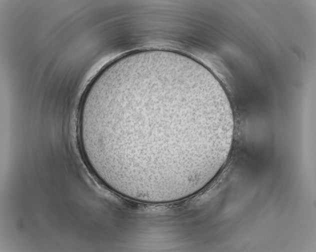 X0000112981094200909171333