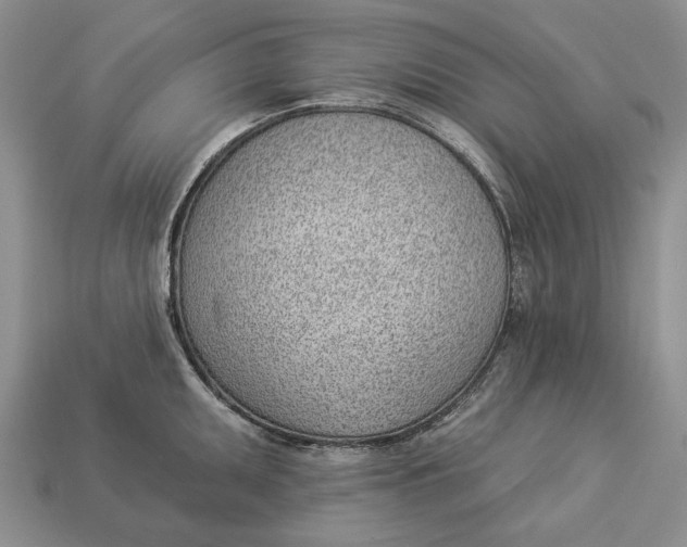 X0000112981095200909171333