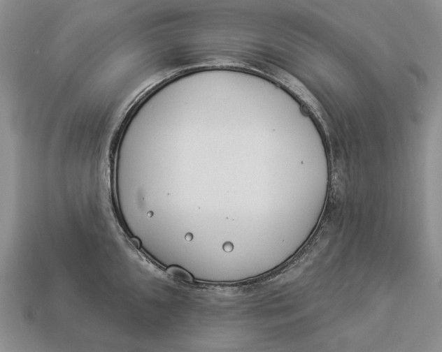 X0000112981096200909171333