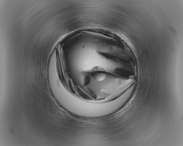 X0000112981097200909171333