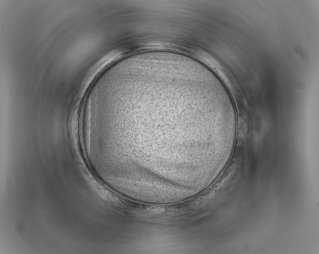 X0000112981098200909171333