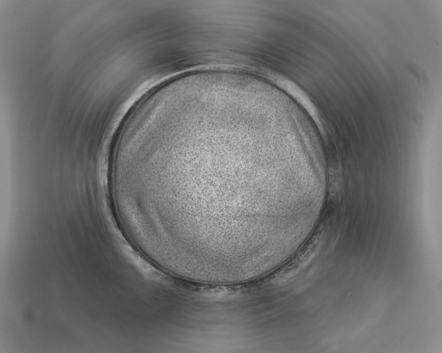 X0000112981099200909171333