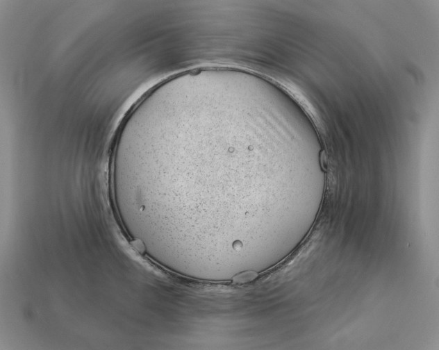 X0000112981100200909171333