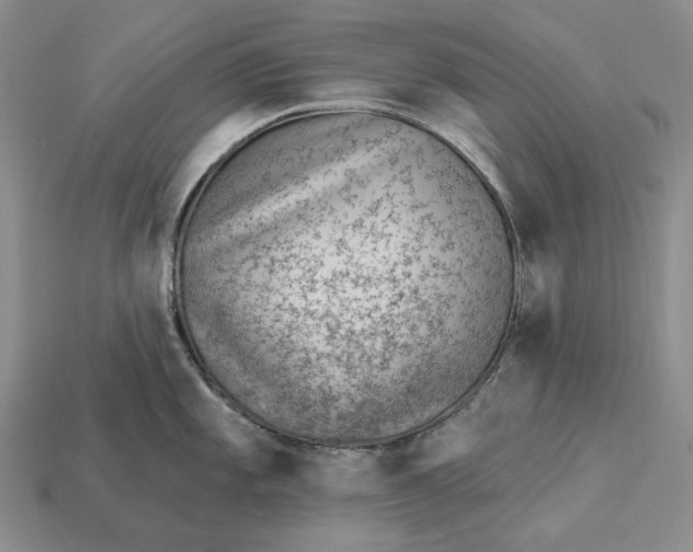 X0000112981101200909171333