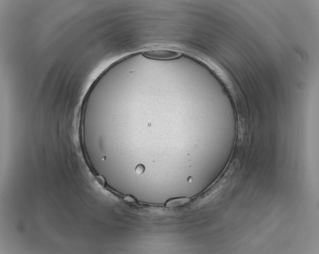 X0000112981102200909171333