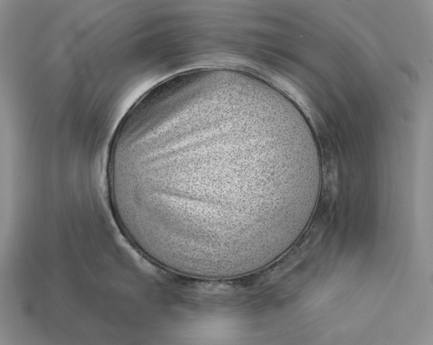 X0000112981103200909171333