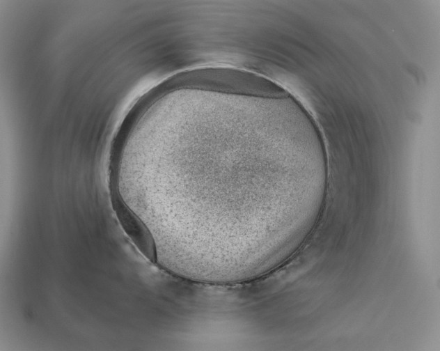 X0000112981104200909171333