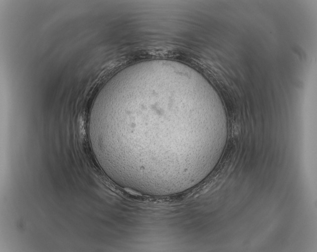 X0000112981106200909171333