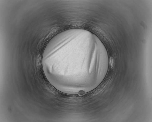 X0000112981107200909171333