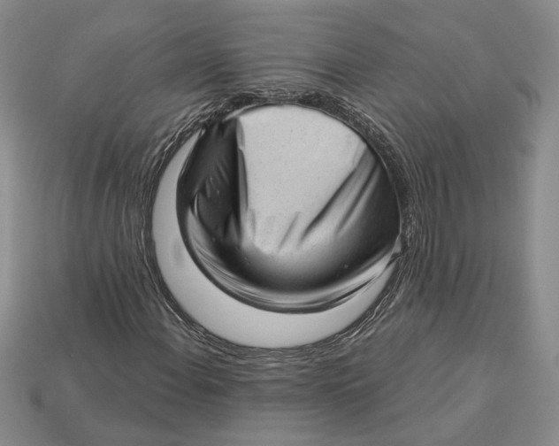 X0000112981108200909171333