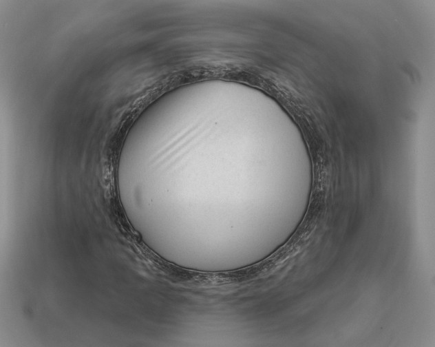 X0000112981109200909171333