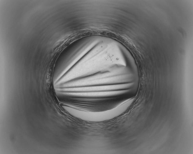 X0000112981110200909171333