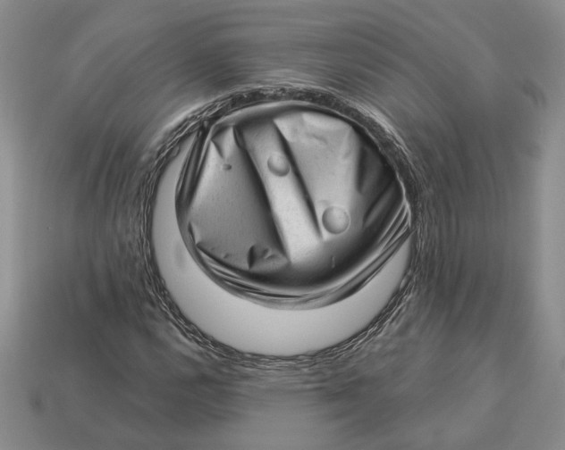 X0000112981112200909171333