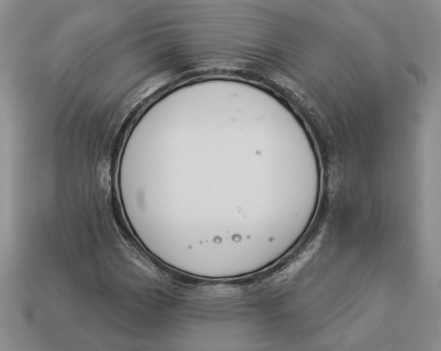 X0000112981113200909171333