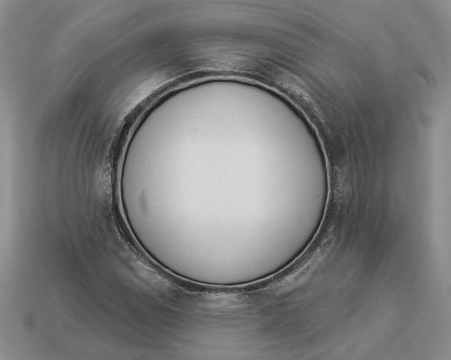 X0000112981114200909171333