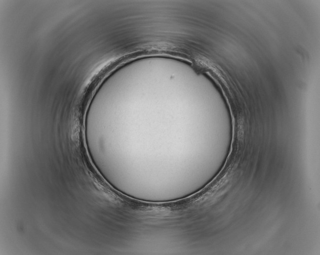 X0000112981115200909171333