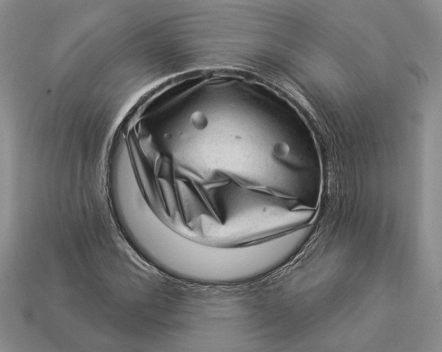 X0000112981116200909171333