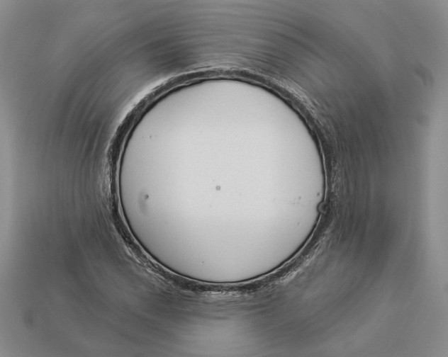 X0000112981118200909171333