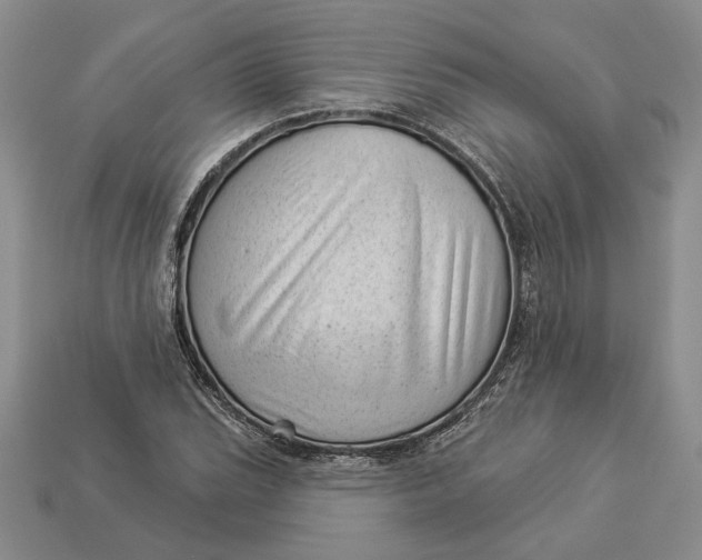 X0000112981119200909171333