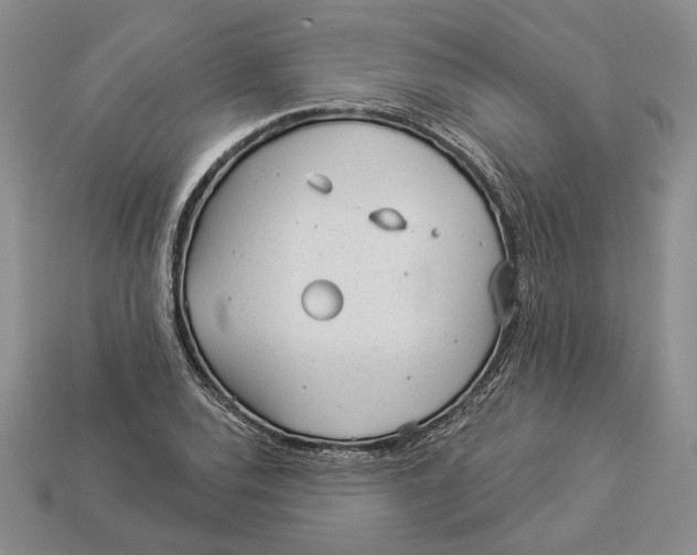 X0000112981120200909171333