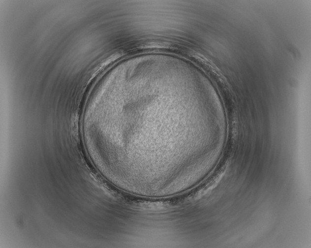 X0000112981121200909171333