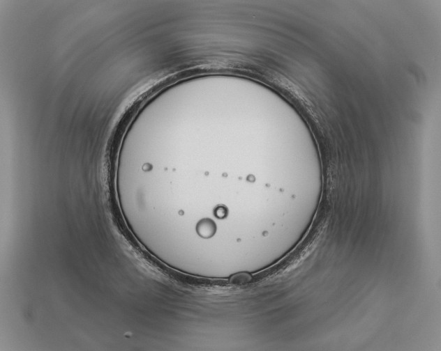 X0000112981122200909171333