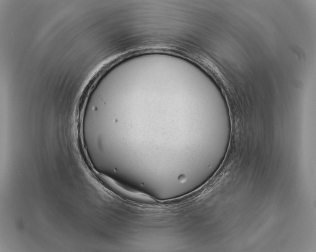 X0000112981124200909171333