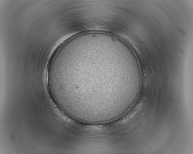 X0000112981125200909171333