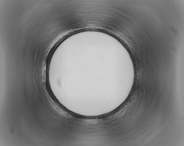 X0000112981126200909171333