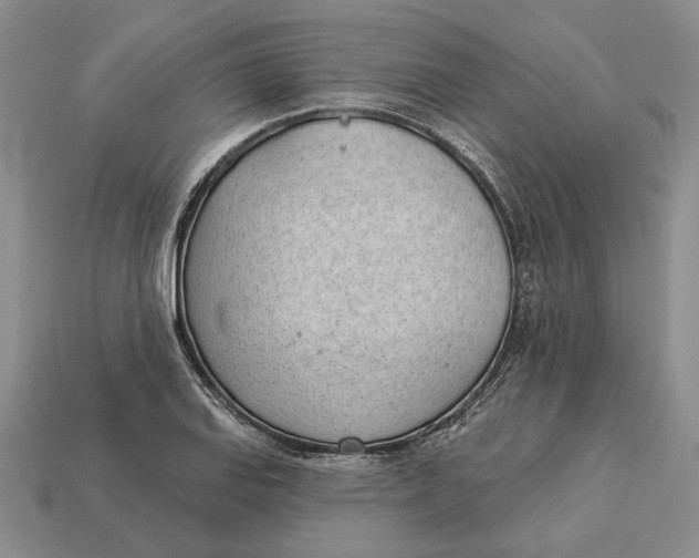 X0000112981127200909171333