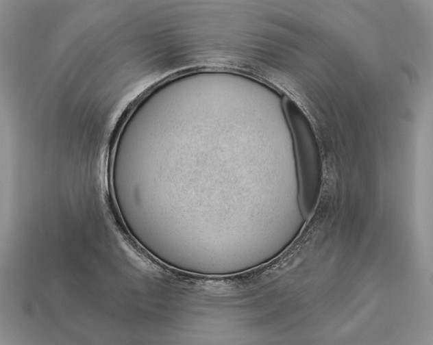 X0000112981128200909171333