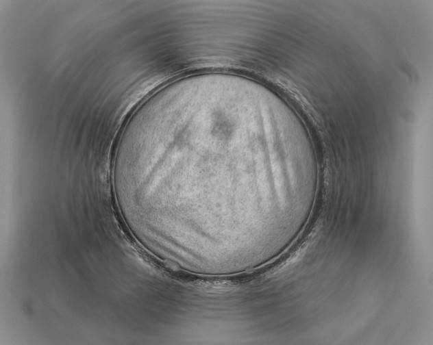 X0000112981129200909171333